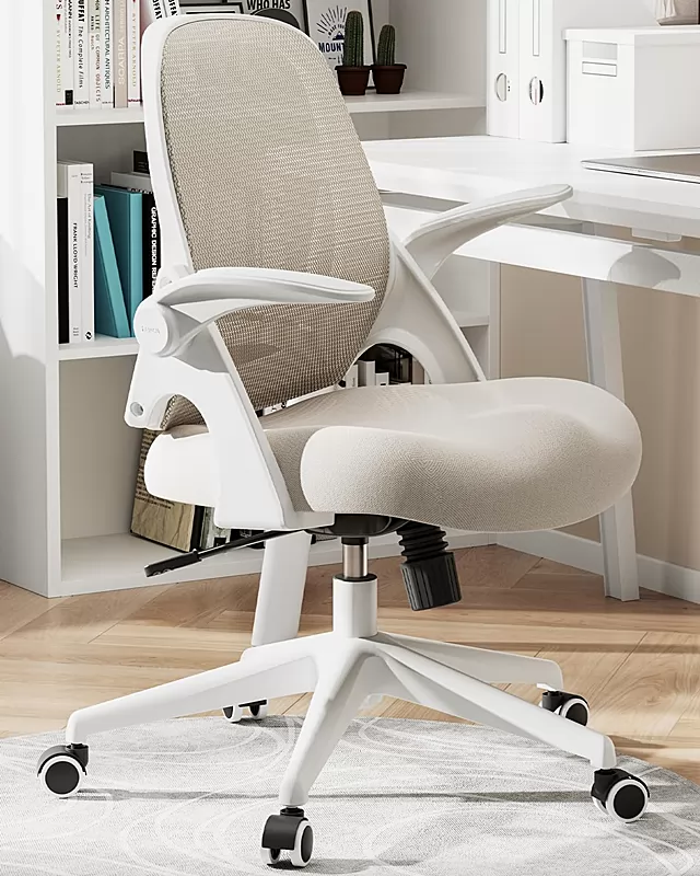 1Office Chairs Under $100